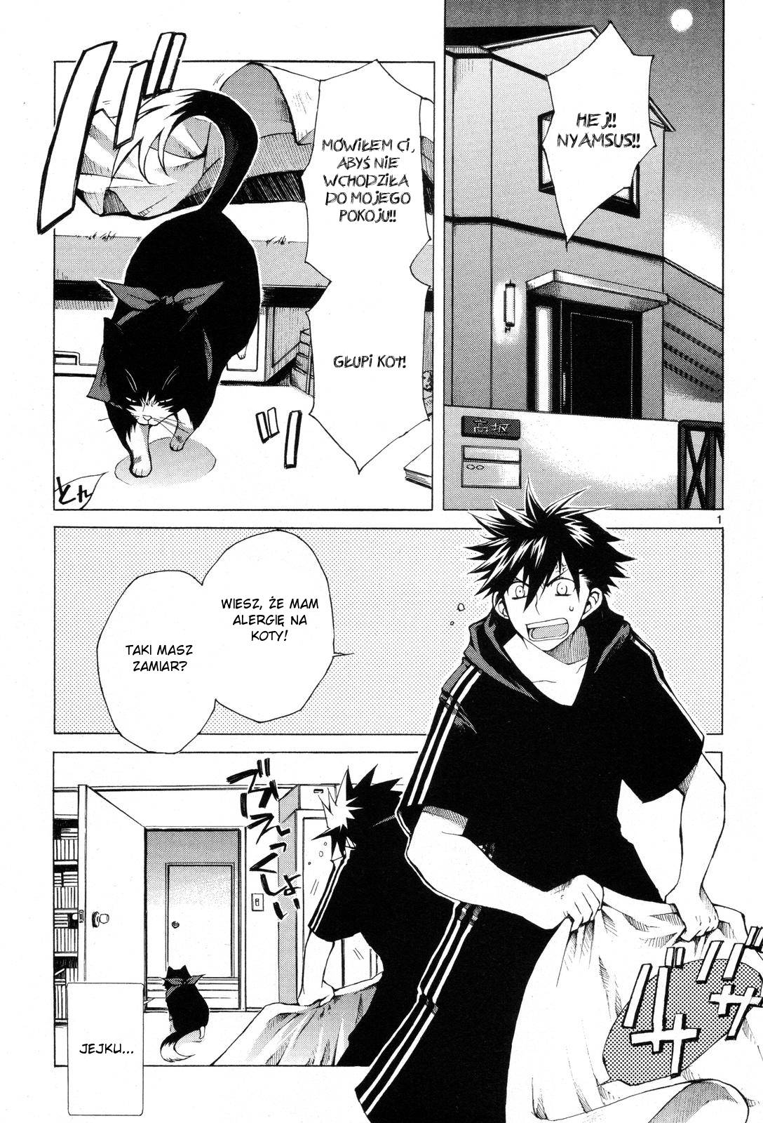 Nyan Koi! 第8页