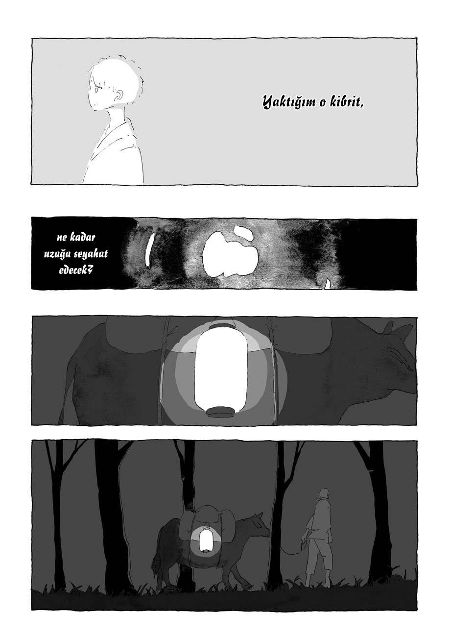 Light and Windows 第8页