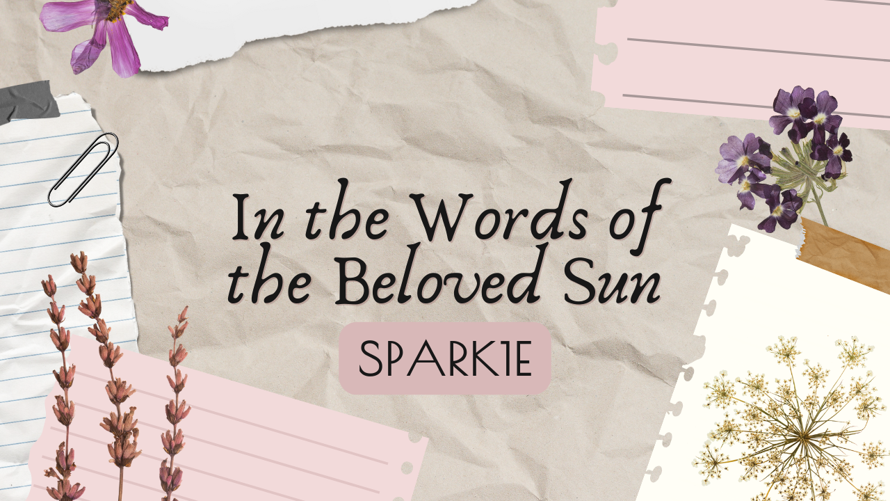 The Words of the Beloved Sun 第1页