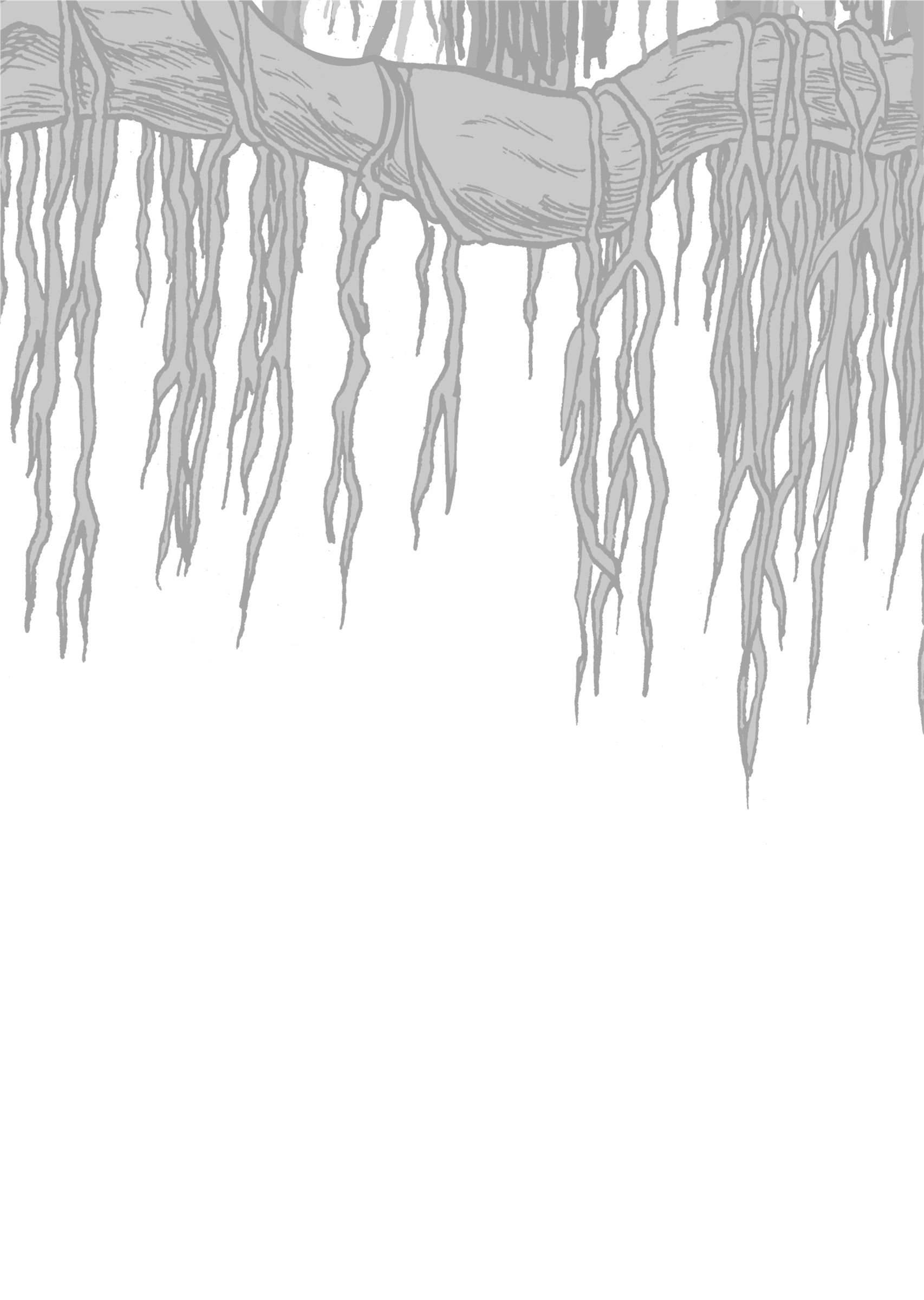The Euphrates Tree Escaping a Conspiracy 第38页