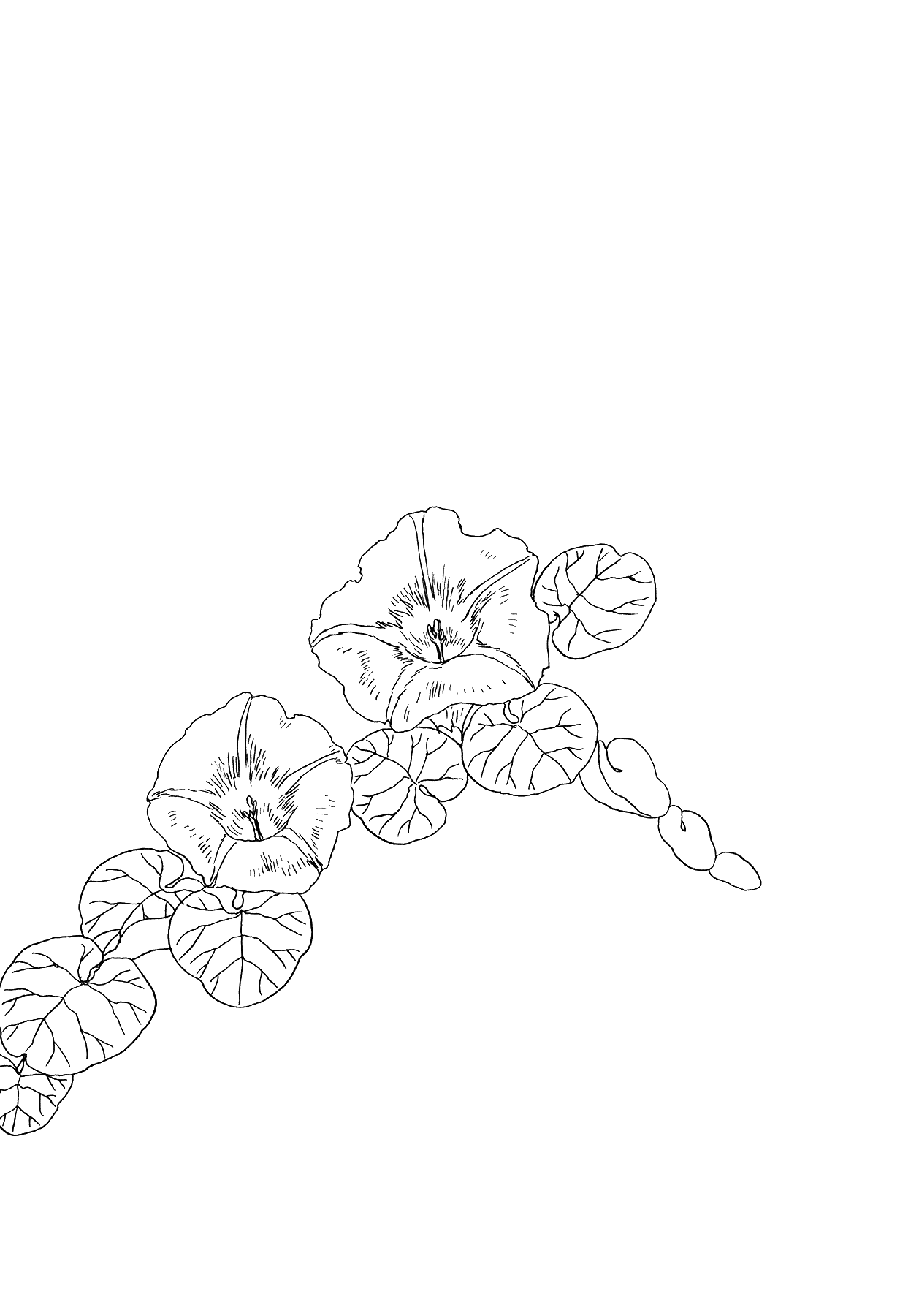 The Land Is a Garden in Your Pocket This is My Garden 第35页