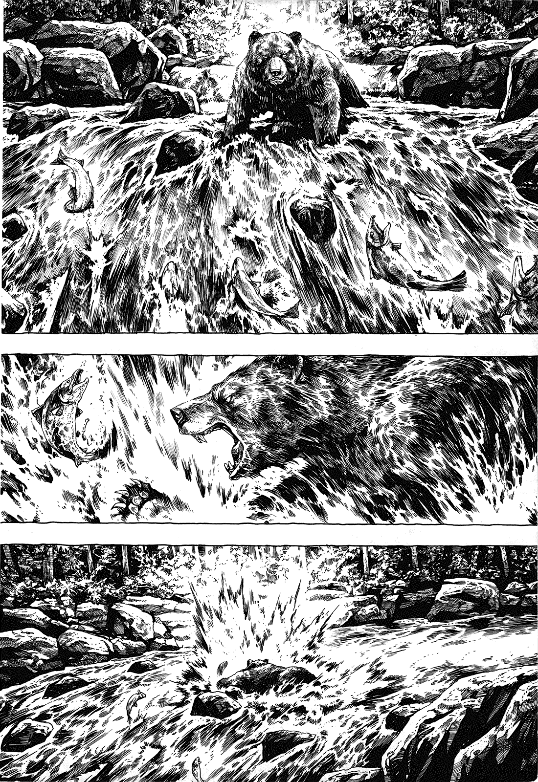 Gon Vol. 1 Ch. 1 第13页