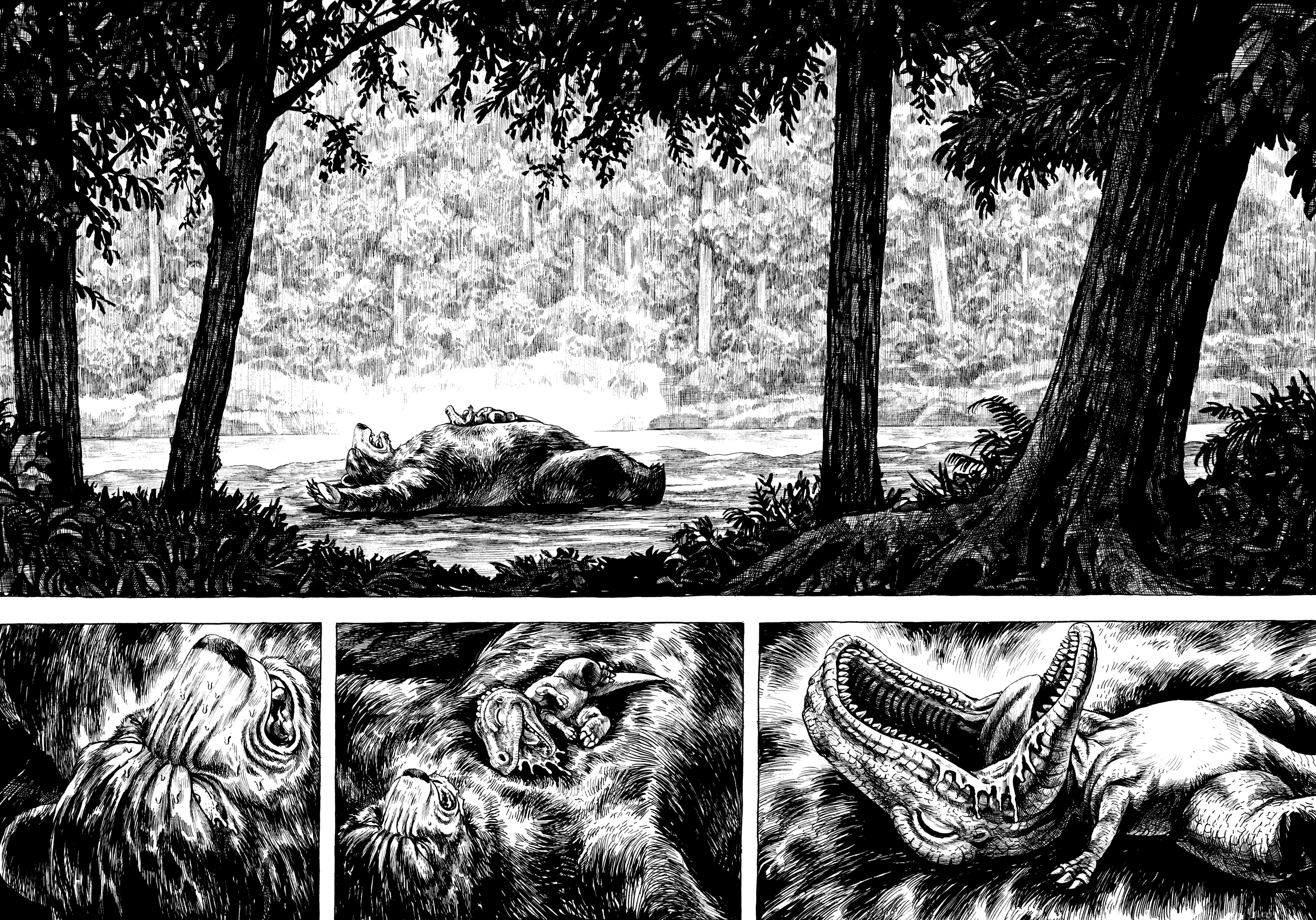 Gon Vol. 1 Ch. 1 第36页
