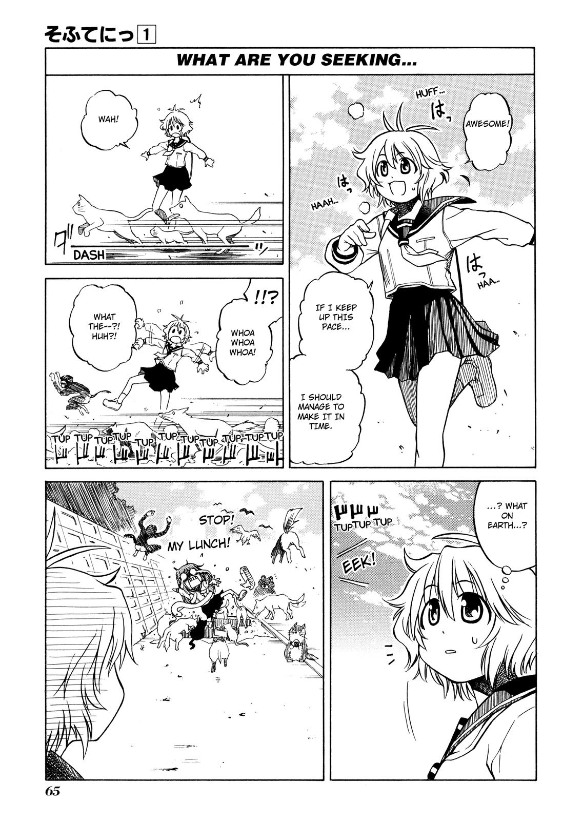 Softenni! Secret 第13页