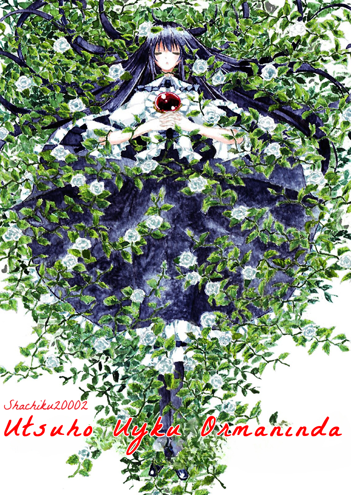 Touhou - Utsuho in the Sleeping Forest (Doujinshi) Oneshot 第1页