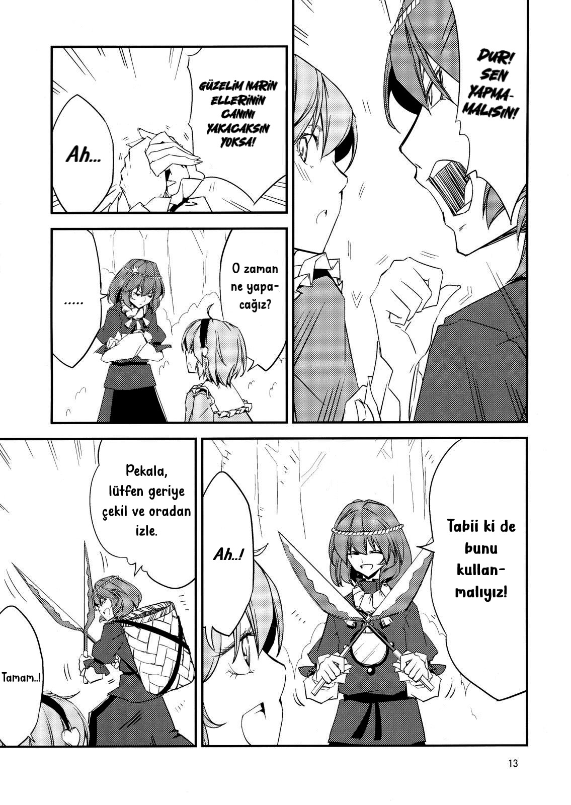 Touhou - Utsuho in the Sleeping Forest (Doujinshi) Oneshot 第9页