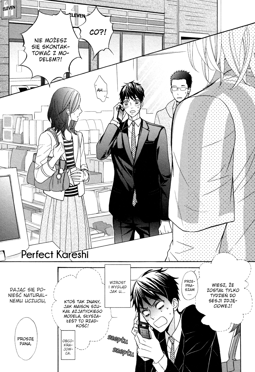 Perfect Kareshi 第4页