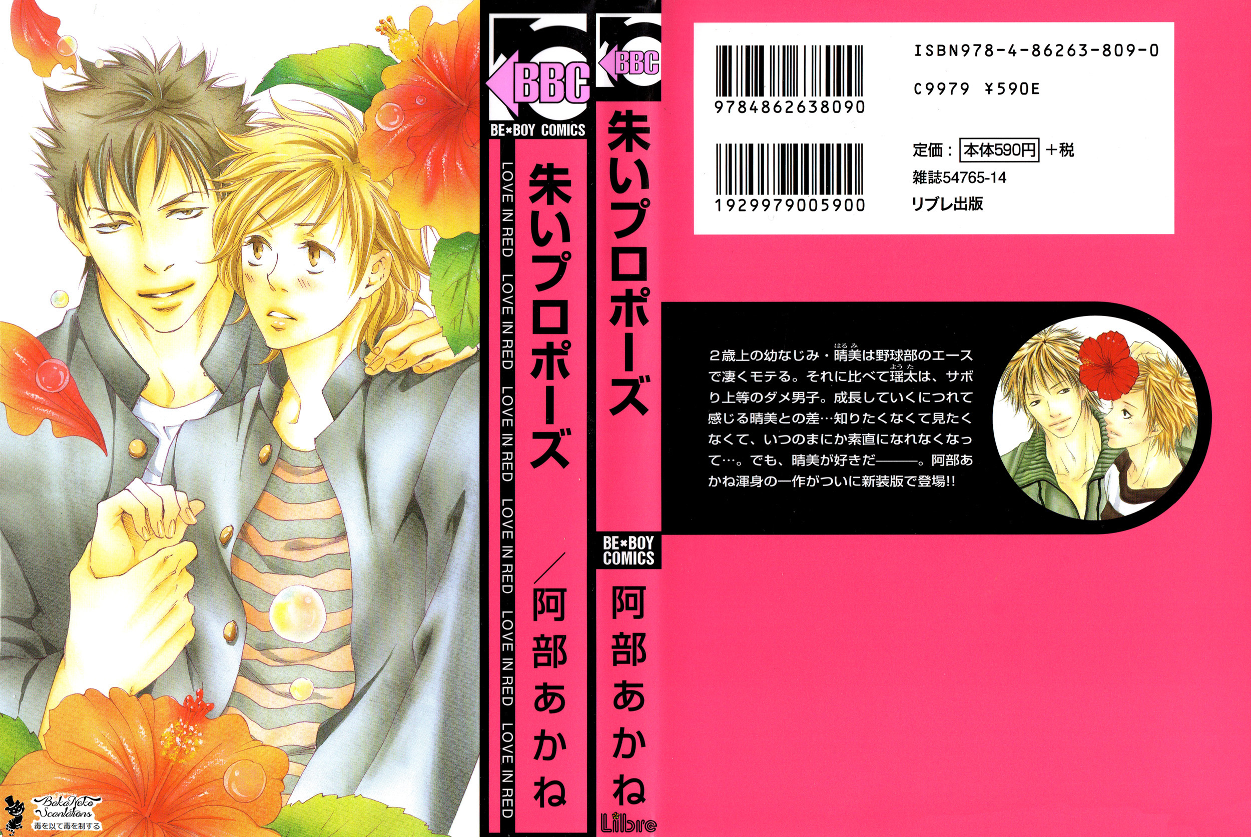 Akai Proposal 第1页