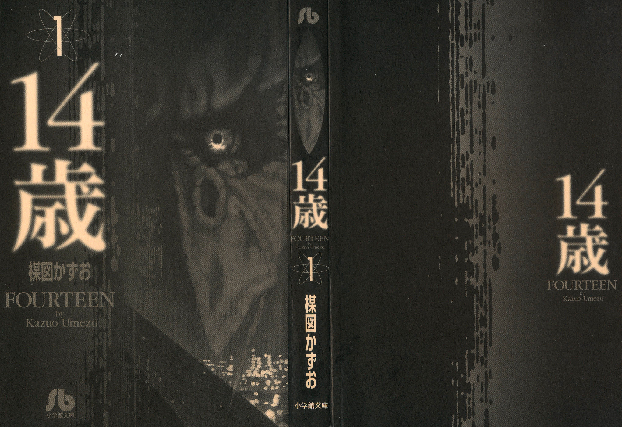 Fourteen 第2页