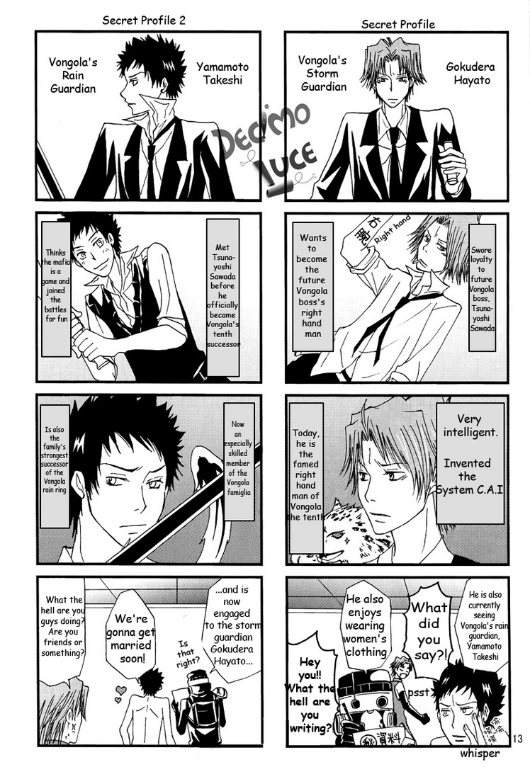 Katekyo Hitman Reborn! - Mafia Work (Doujinshi) Oneshot 第15页
