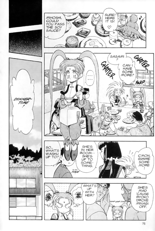 Tenchi Muyo! Ryo-Ohki Under Observation 第13页
