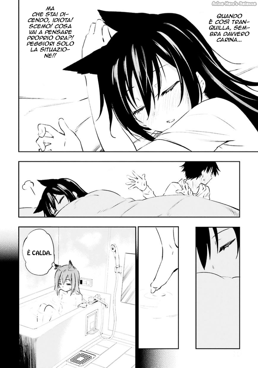 Urami Koi, Koi, Urami Koi Il gatto odioso 第37页