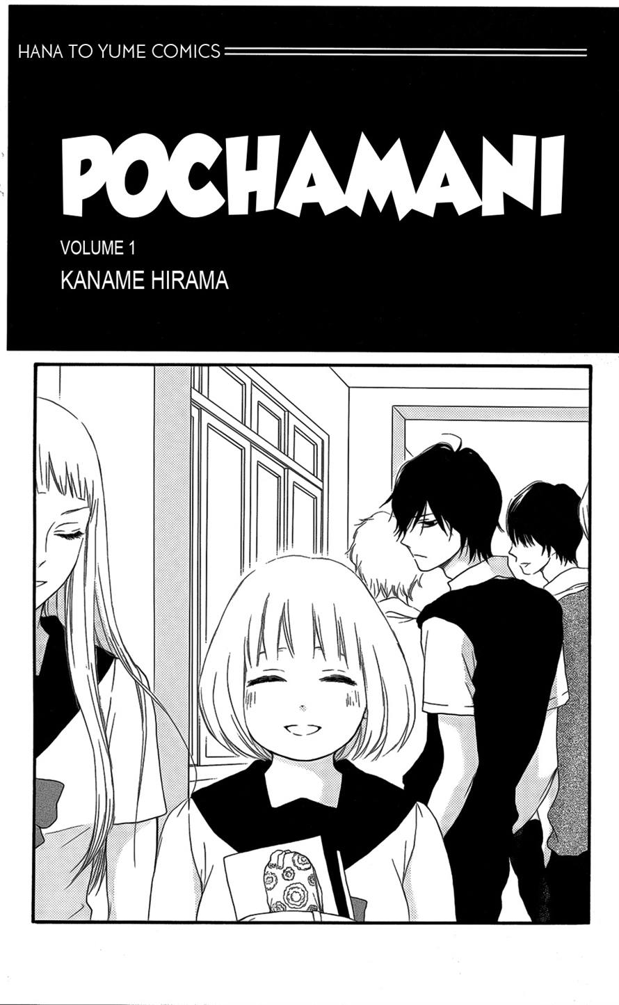 Pochamani 第8页