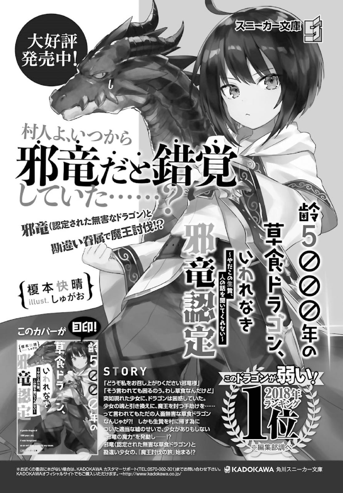 Yowai 5000-nen no Soushoku Dragon, Iware naki Jaryuu Nintei: Yada Kono Ikenie, Hito no Hanashi wo Kiite Kurenai Menuju Kota Petualang 第3页