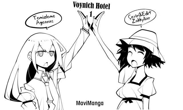 Voynich Hotel 第3页