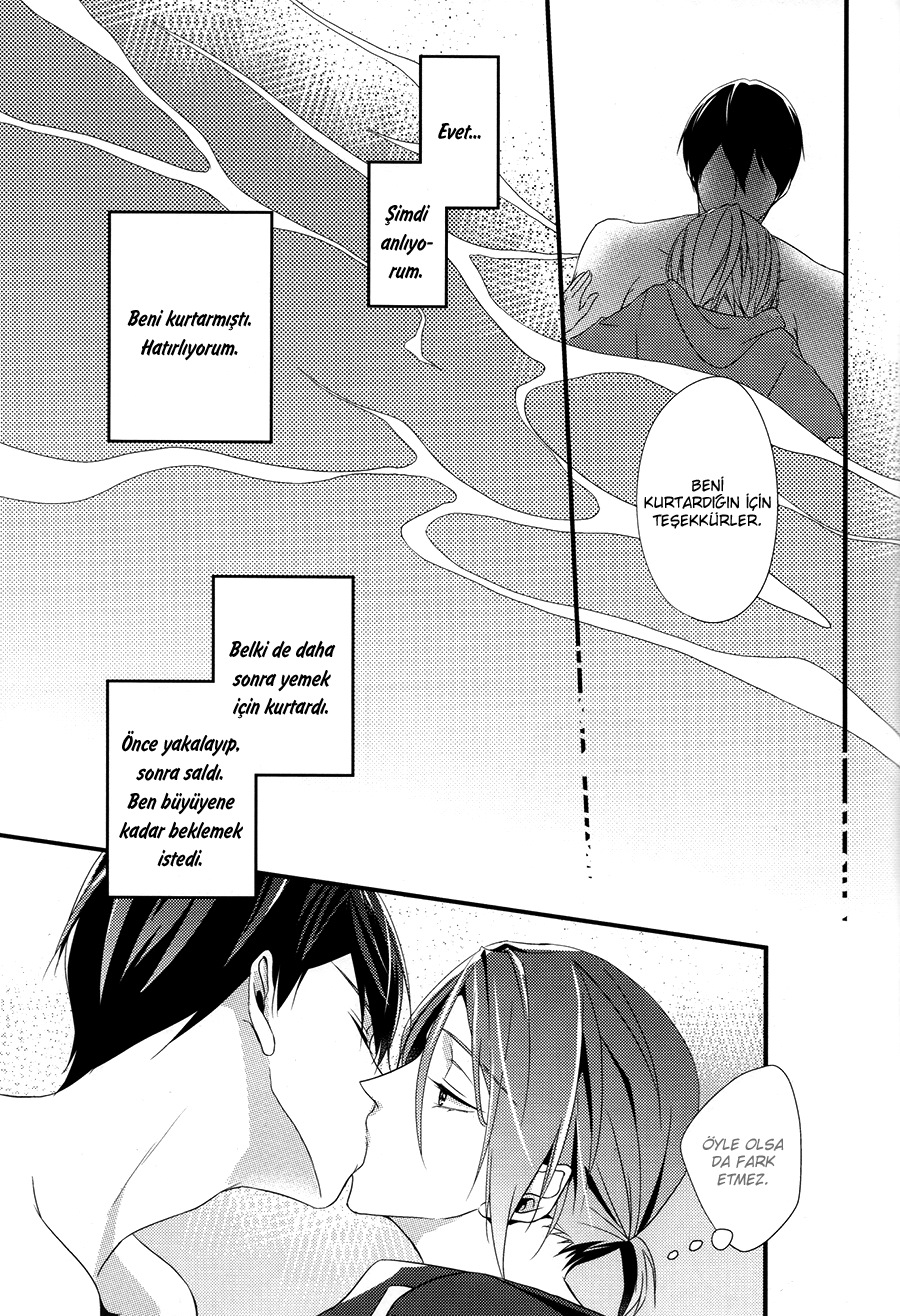 Free! - Delicious Meals For You (Doujinshi) Oneshot 第28页