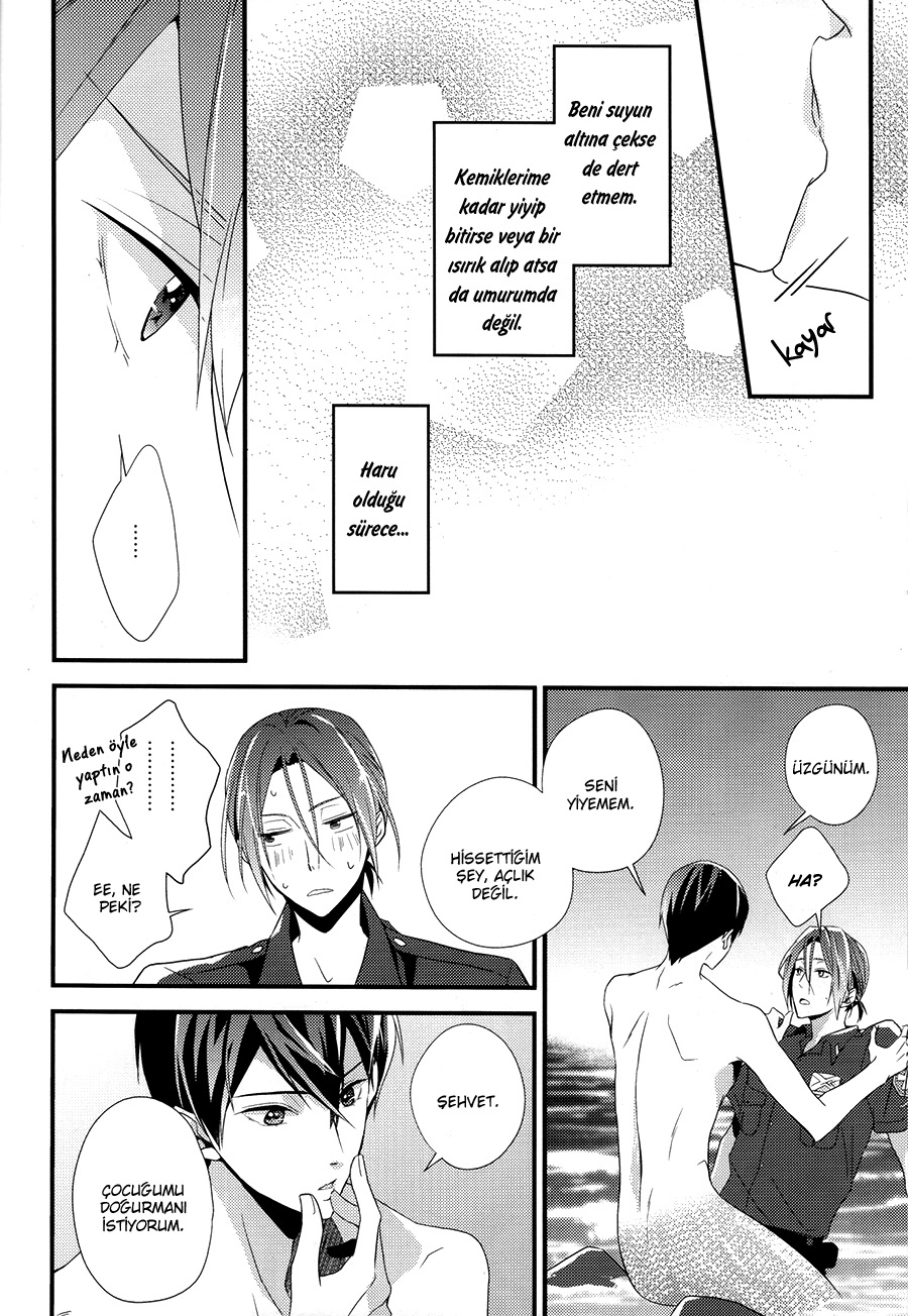 Free! - Delicious Meals For You (Doujinshi) Oneshot 第29页