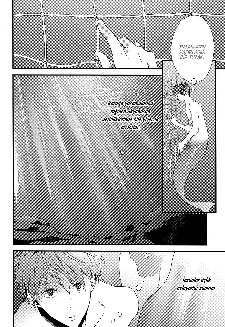 Free! - Delicious Meals For You (Doujinshi) Oneshot 第5页