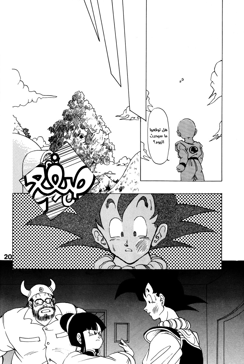 Dragon Ball - A Dream From The World (Doujinshi) حلم من العالم 第17页