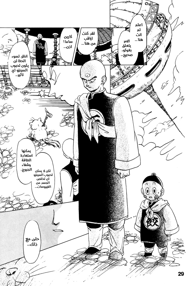 Dragon Ball - A Dream From The World (Doujinshi) حلم من العالم 第25页