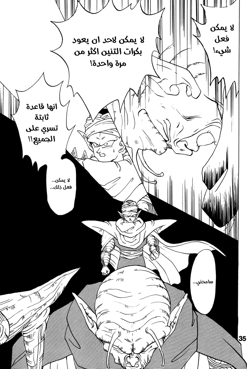 Dragon Ball - A Dream From The World (Doujinshi) حلم من العالم 第31页
