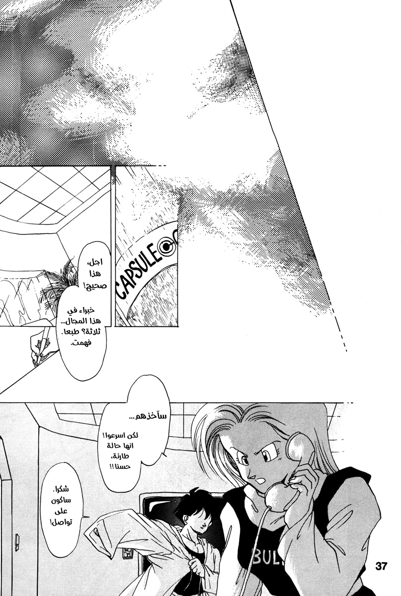 Dragon Ball - A Dream From The World (Doujinshi) حلم من العالم 第33页