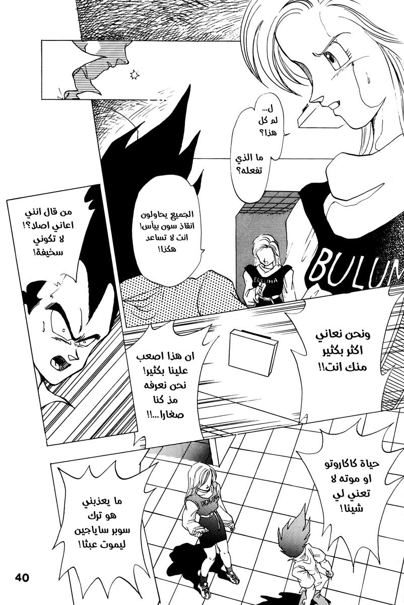 Dragon Ball - A Dream From The World (Doujinshi) حلم من العالم 第36页
