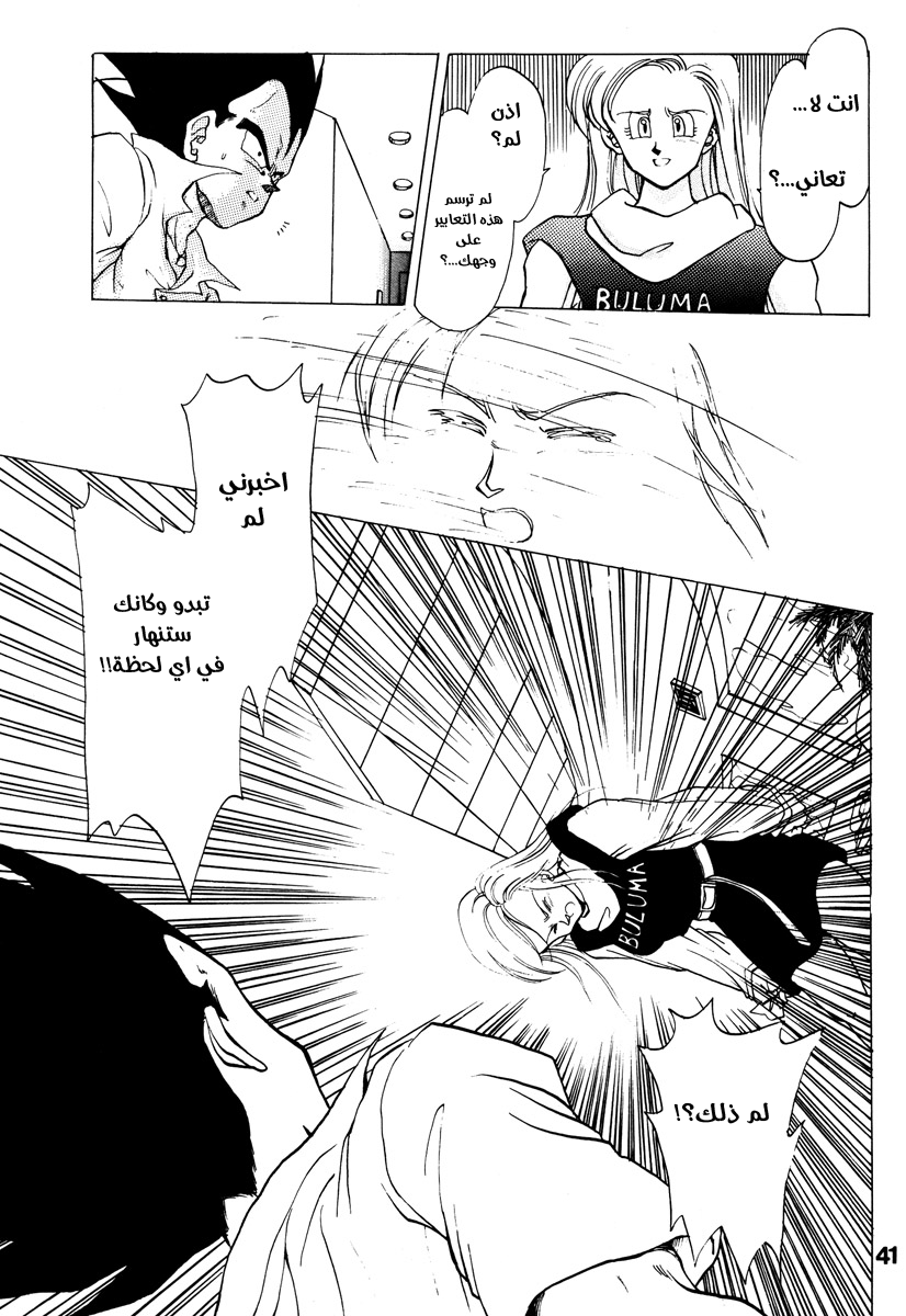 Dragon Ball - A Dream From The World (Doujinshi) حلم من العالم 第37页