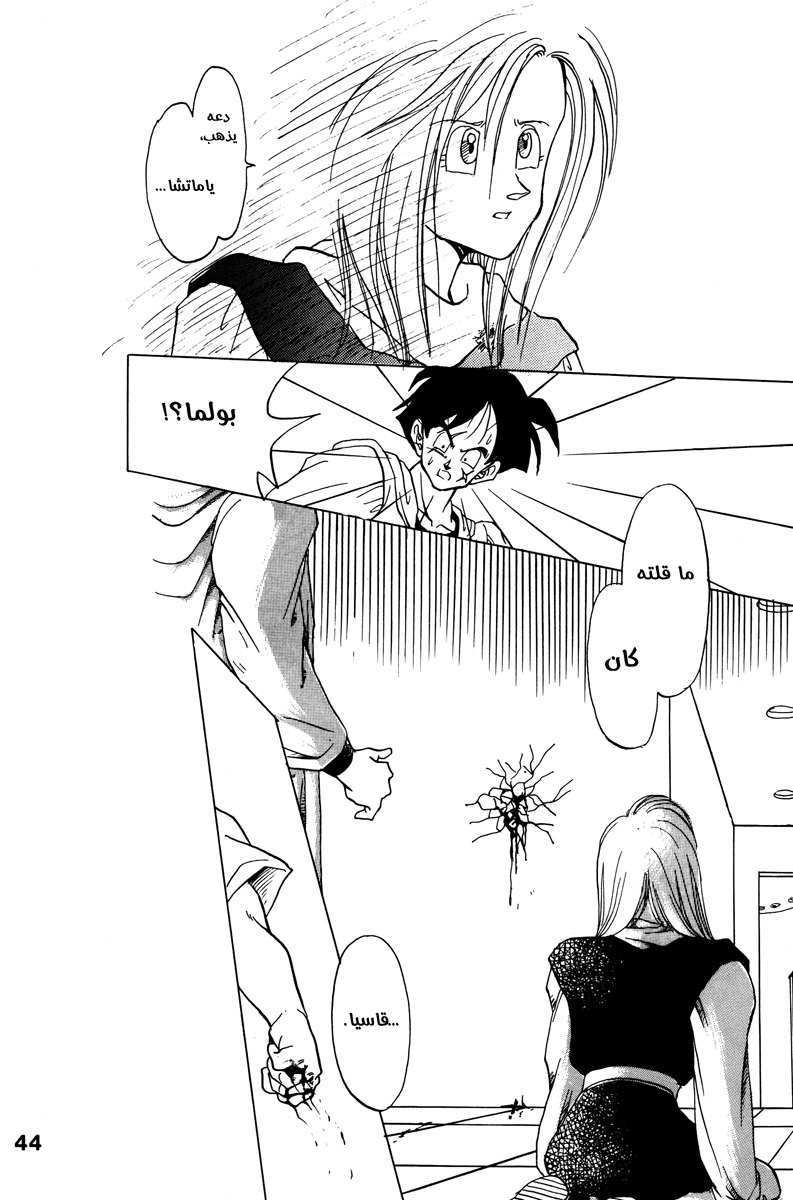 Dragon Ball - A Dream From The World (Doujinshi) حلم من العالم 第40页