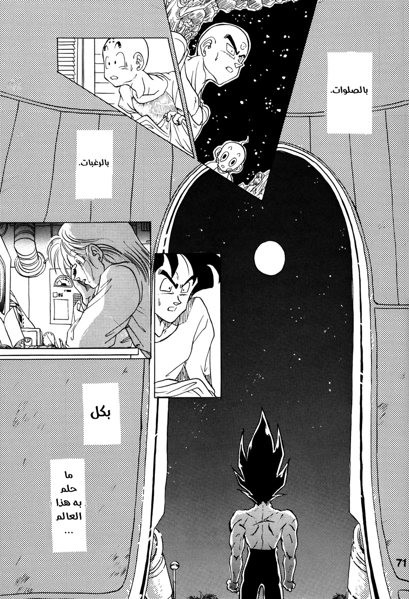 Dragon Ball - A Dream From The World (Doujinshi) حلم من العالم 第64页