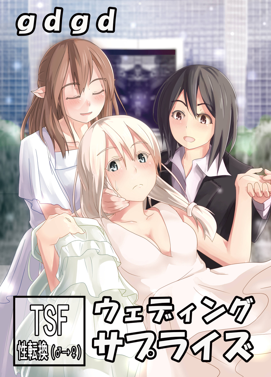 Wedding Surprise 第1页