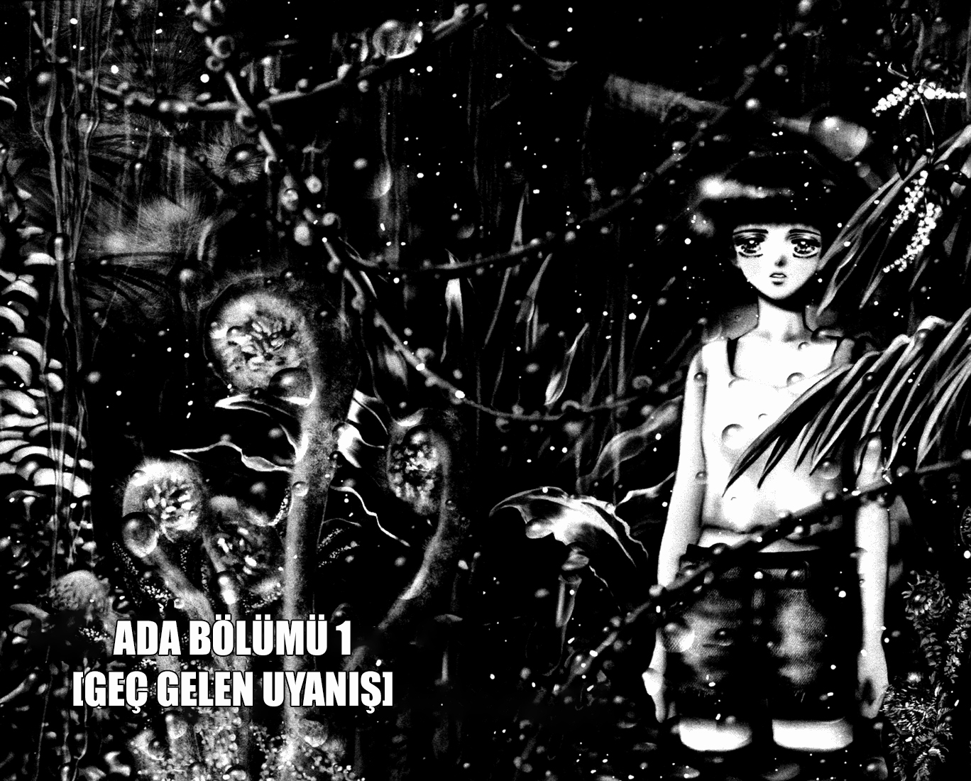 7 Seeds Ada Bölümü 1 [Geç Gelen Uyanış] 第7页