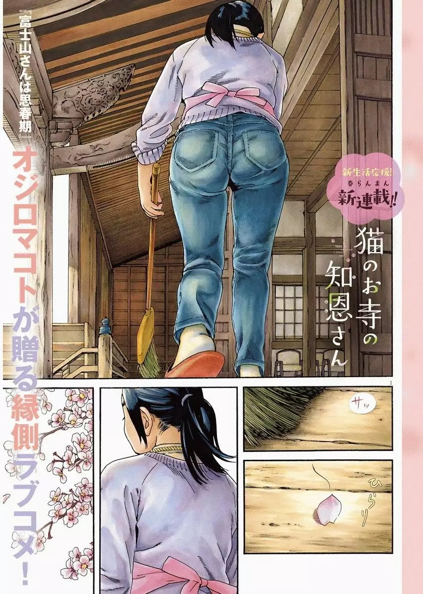 Neko no Otera no Chion-san Vol. 1 Ch. 1 第3页