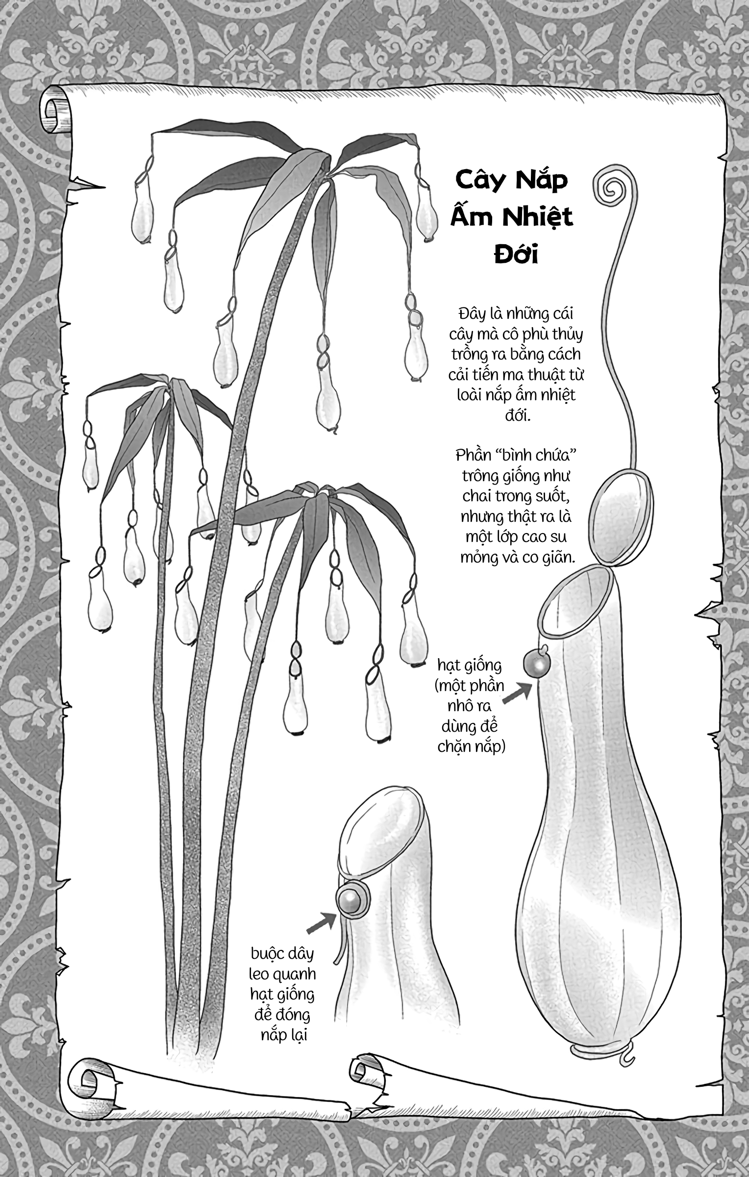 Champignon no Majo Hắc phù thủy Luna 第31页