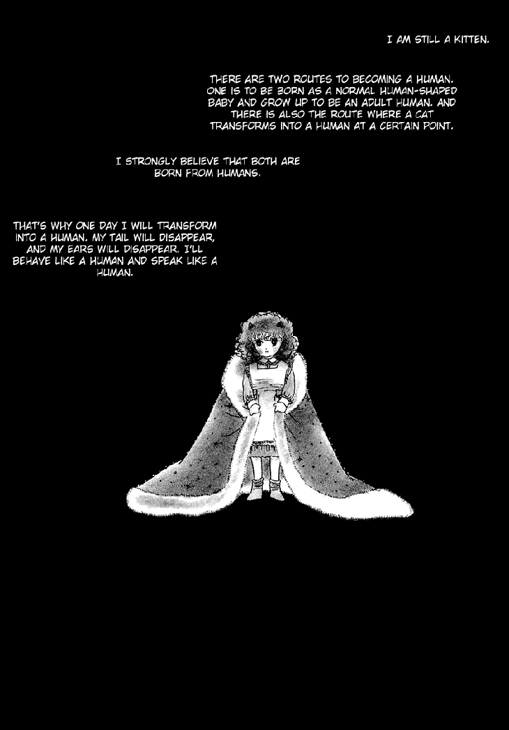 The Star of Cottonland Vol. 1 Ch. 1.1 第11页