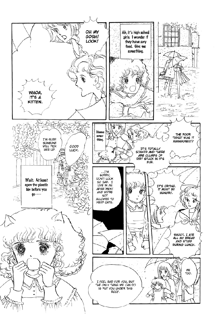 The Star of Cottonland 第3页