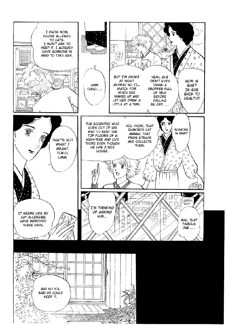 The Star of Cottonland 第7页