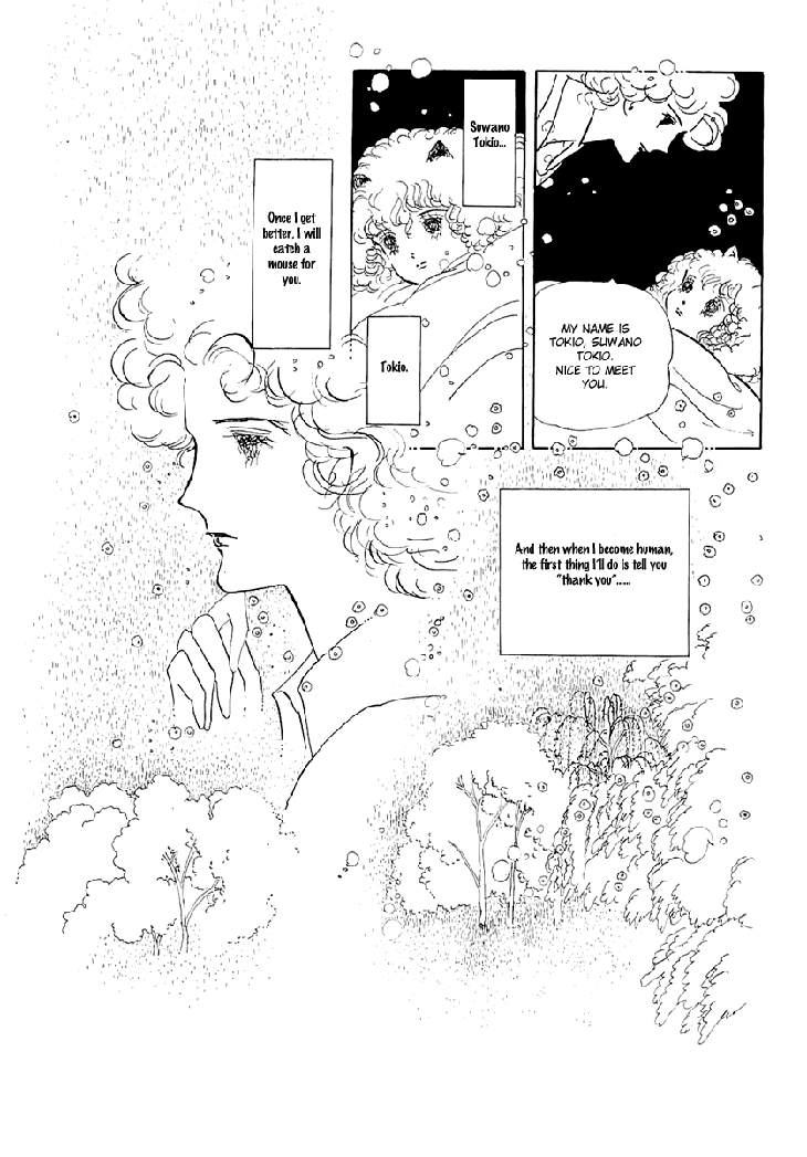 The Star of Cottonland Vol. 1 Ch. 1.1 第10页