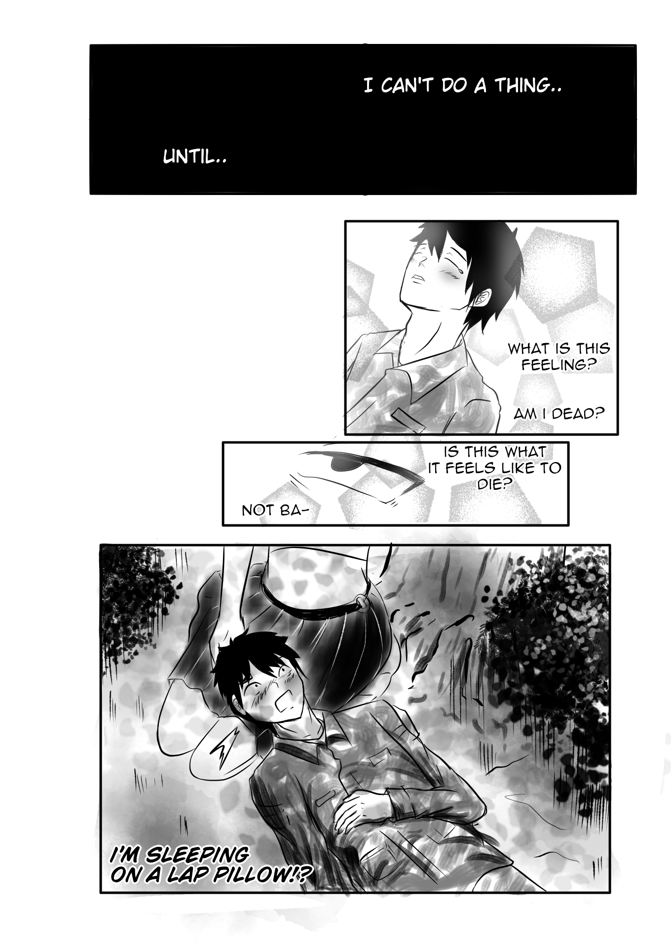 SOLVADER 第4页