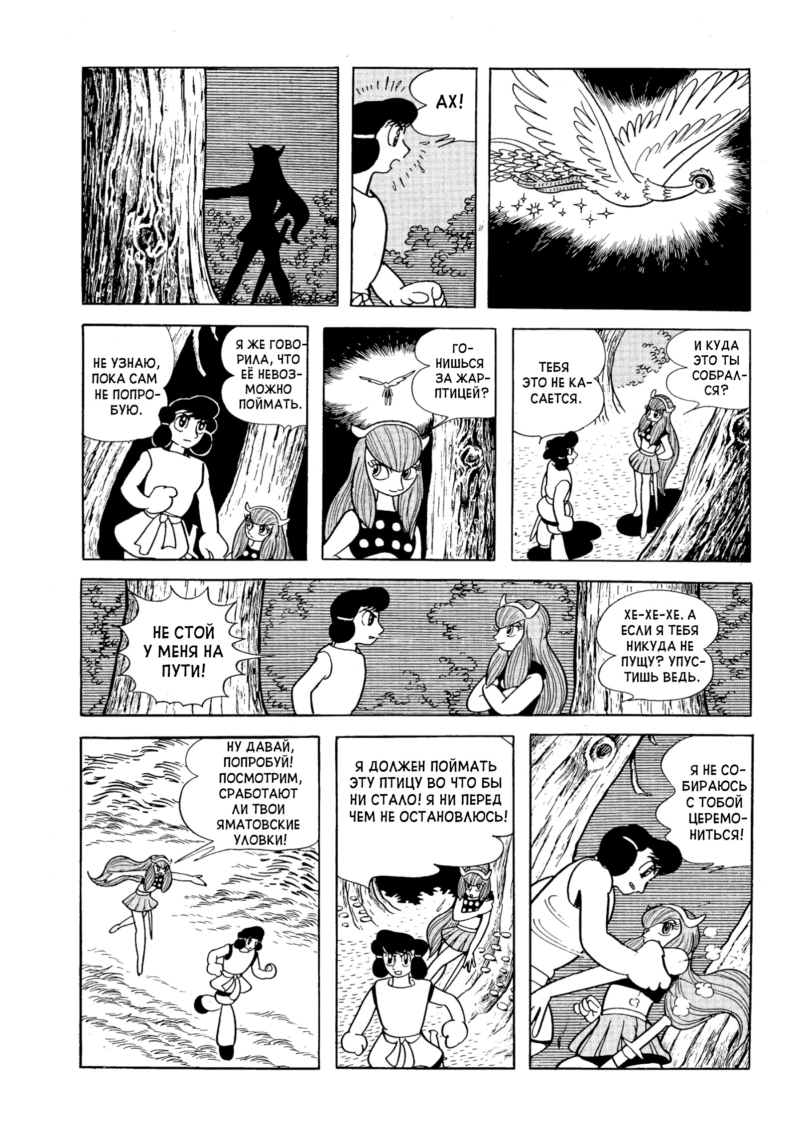 Phoenix Ямато 第51页