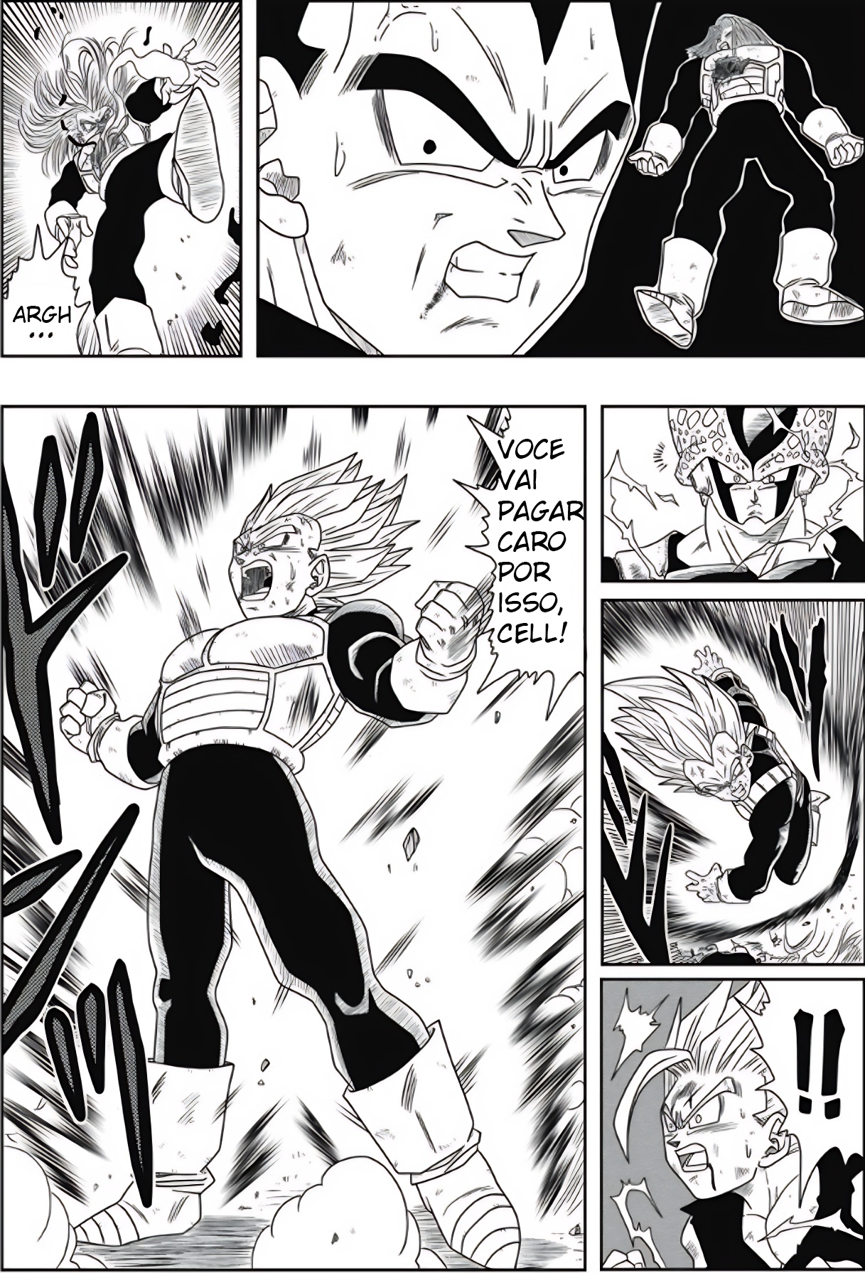 Dragon Ball - New Hope Derrota sombria 第12页