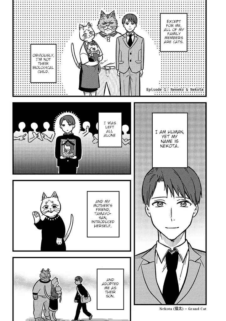 My Sister, The Cat 第2页