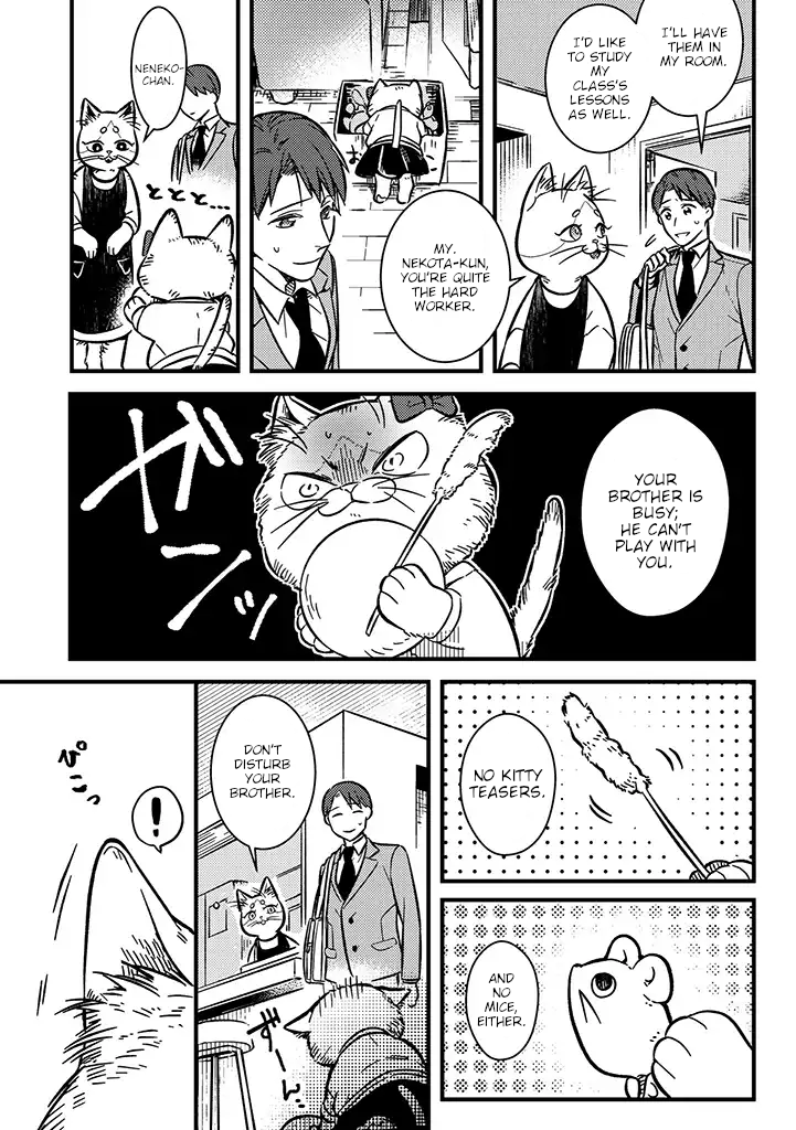 My Sister, The Cat 第7页