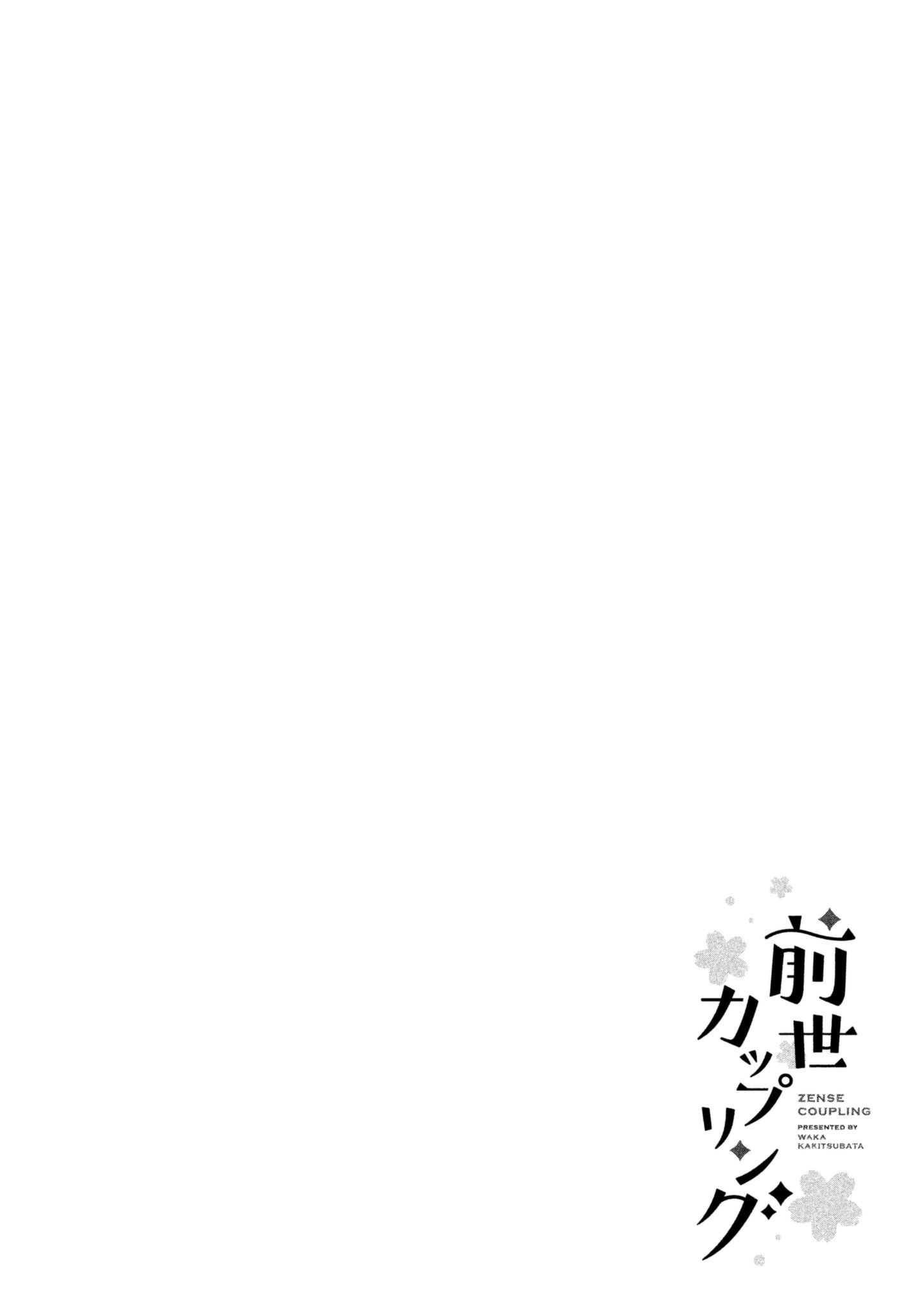 Zense Coupling 第7页