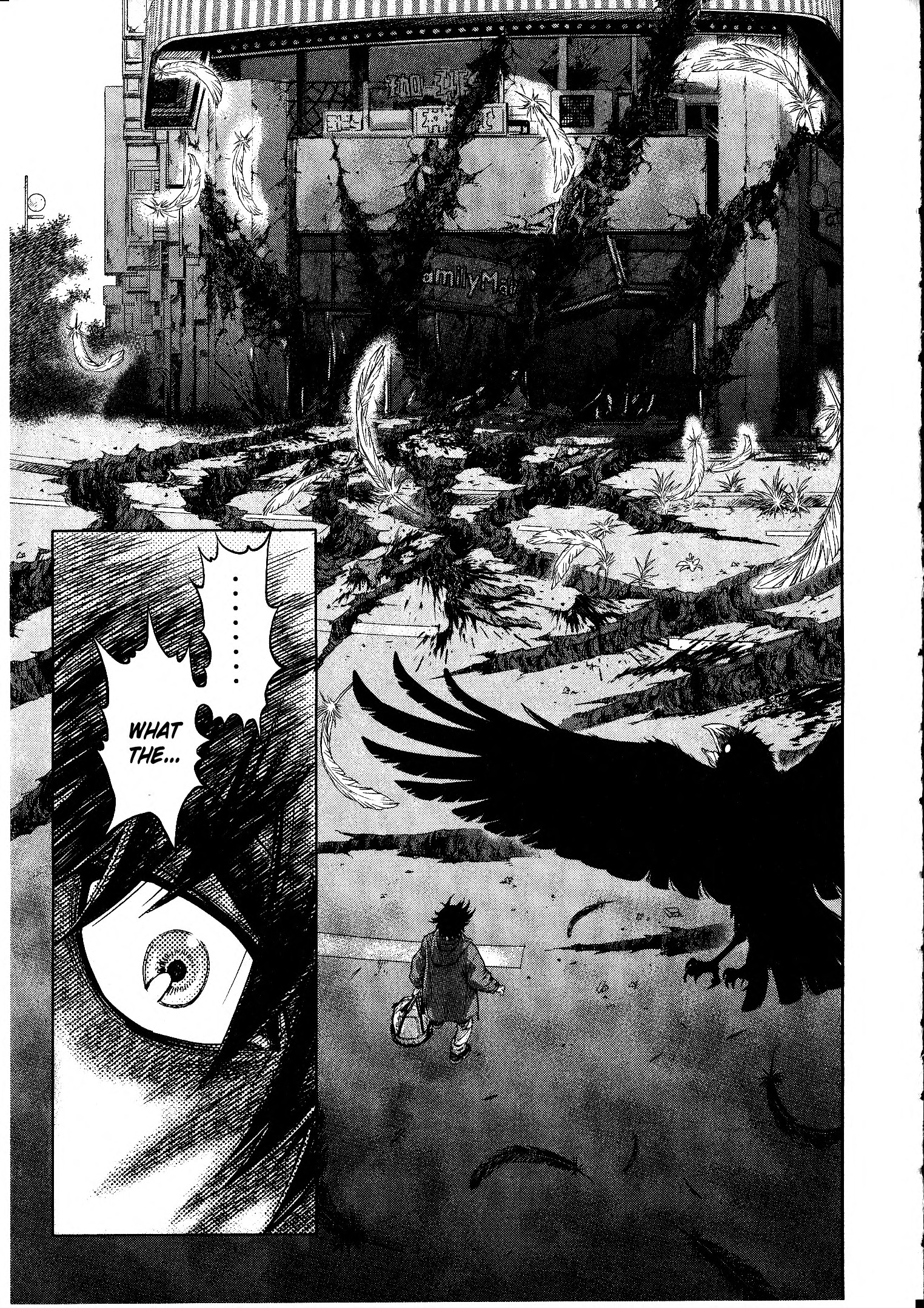 Devilman vs. Hades The Demon Bird 第11页