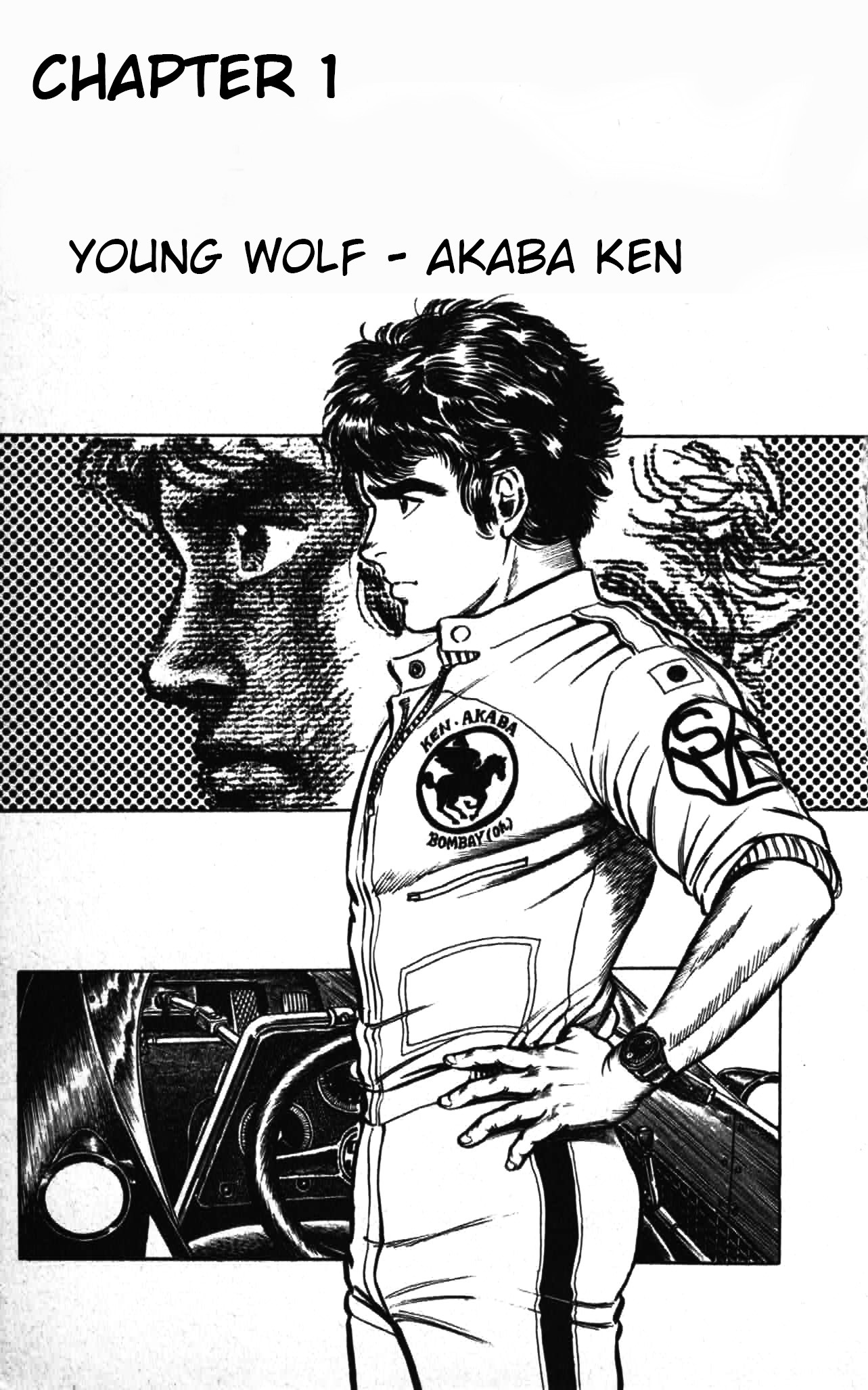 Red Pegasus 第5页