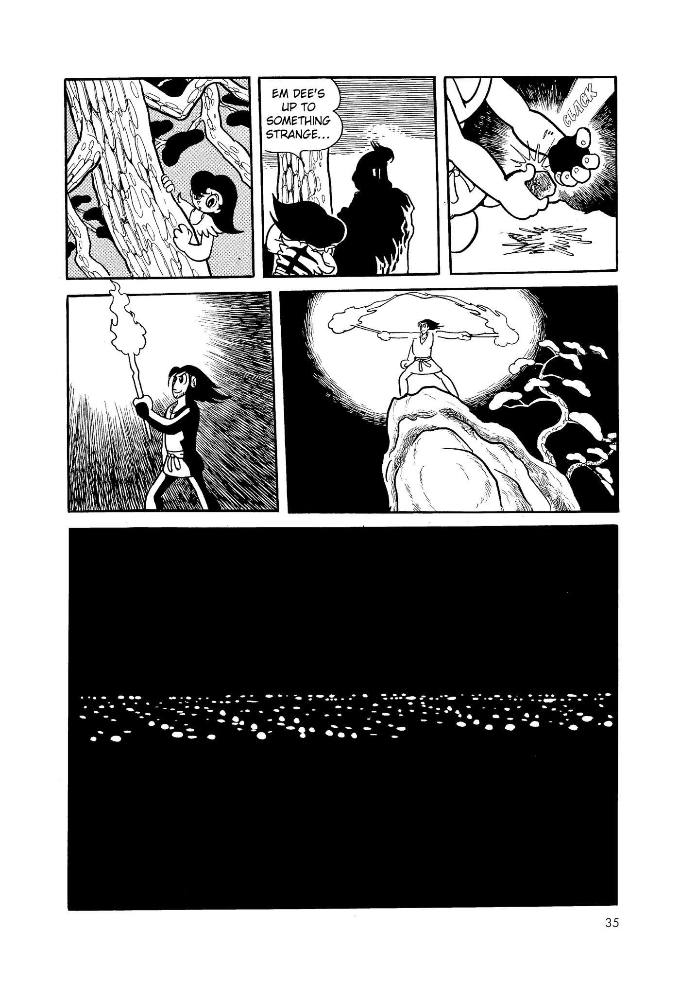 Phoenix DAWN 第36页