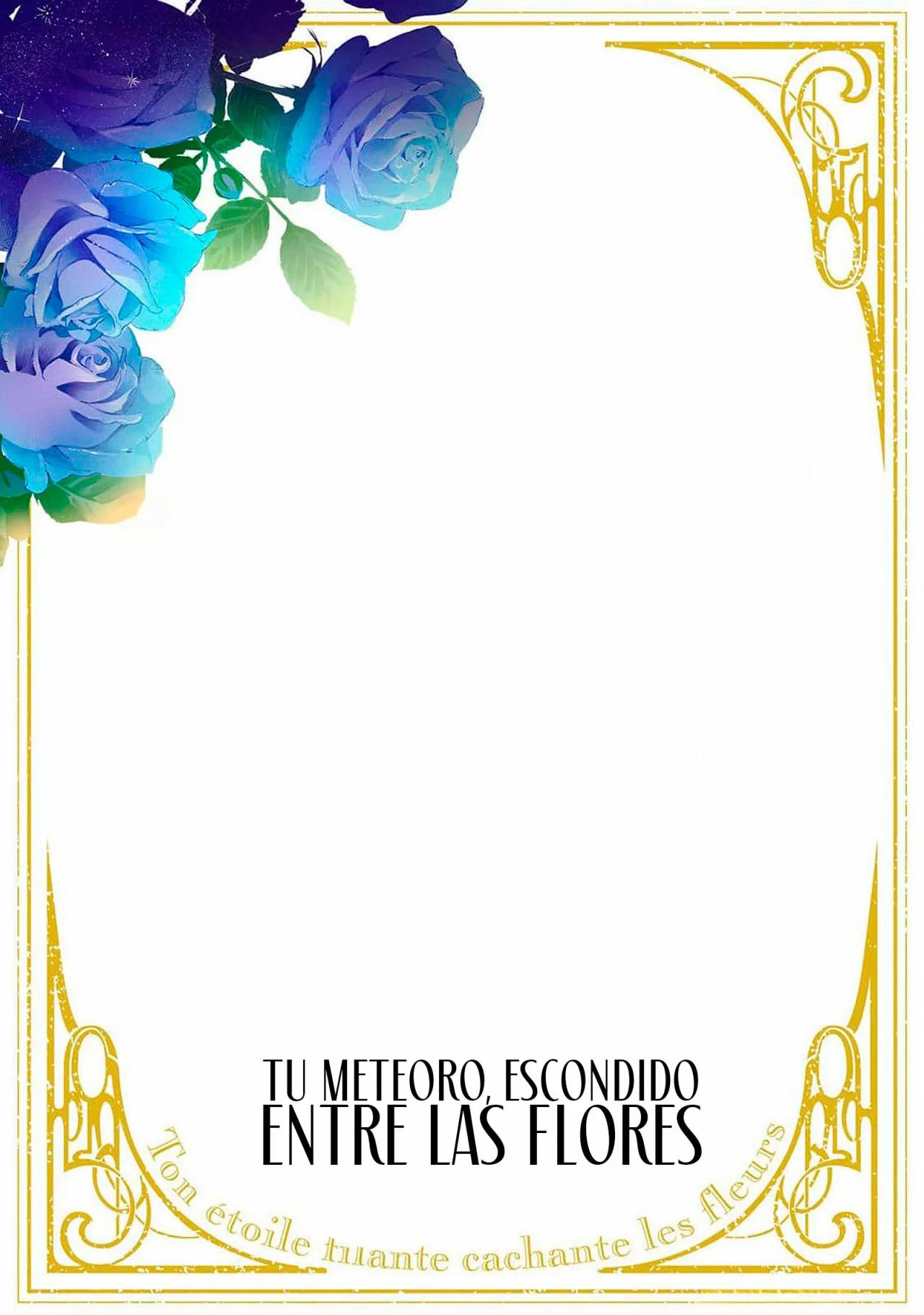 Hana Himeru Kimi no Meteor El principe de estrellas y espinas 第47页