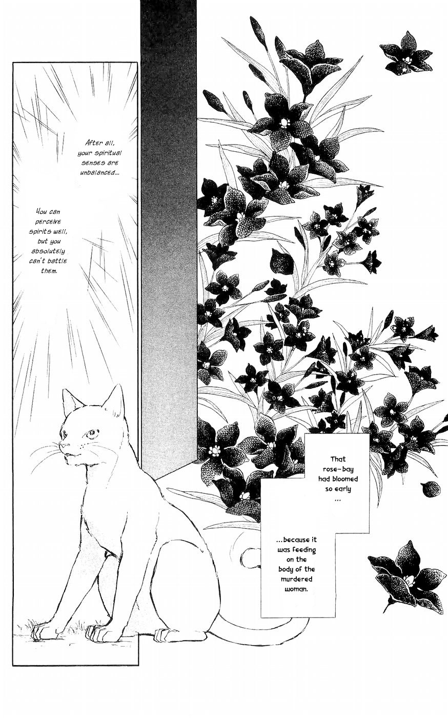 A Record of Ryoko's Psychic Events A cat floating in the darkness 第53页