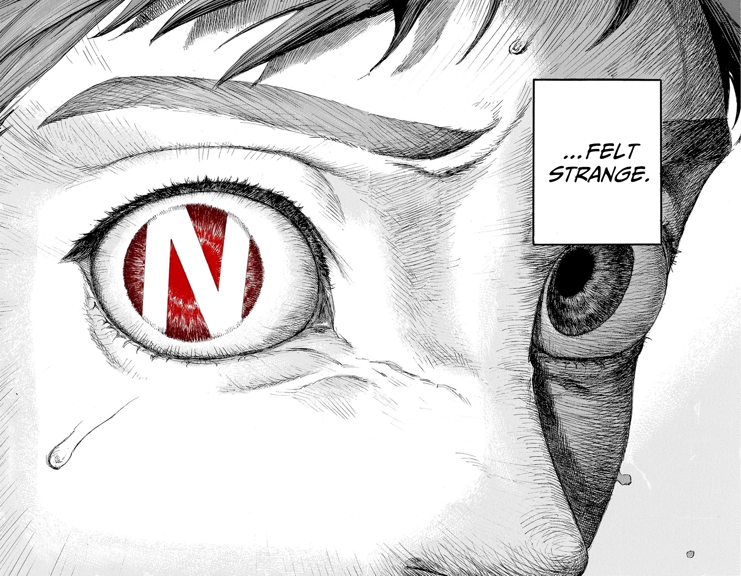 N 第4页
